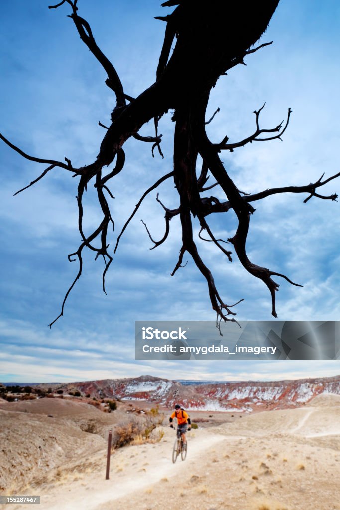 Paisagem de mountain bike - Foto de stock de Adulto royalty-free