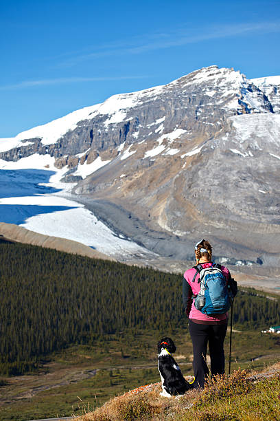 randonnée chien de montagne et glacier admirez la vue sur la vallée - vertical scenics ice canada photos et images de collection