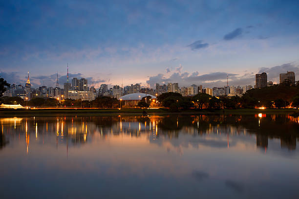 Sao Paulo skyline The city of São Paulo, the biggest metropolis in South America ibirapuera park stock pictures, royalty-free photos & images