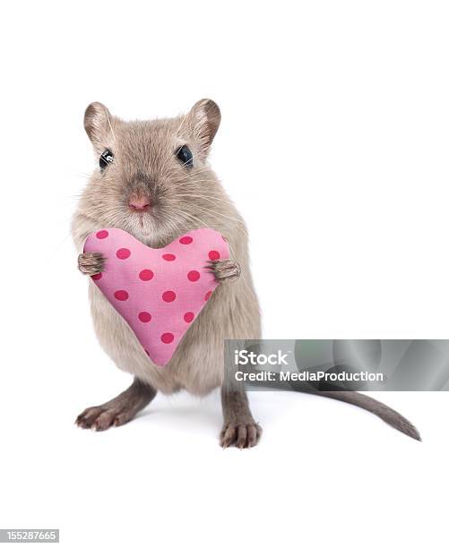 Mouse Holding A Heart Shaped Cushion Stock Photo - Download Image Now - Mouse - Animal, Valentine's Day - Holiday, Humor