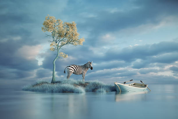 imagem surreal de uma zebra em uma pequena ilha e um barco. conceito de exploração e aspiração. - scenics landscape nature the natural world - fotografias e filmes do acervo
