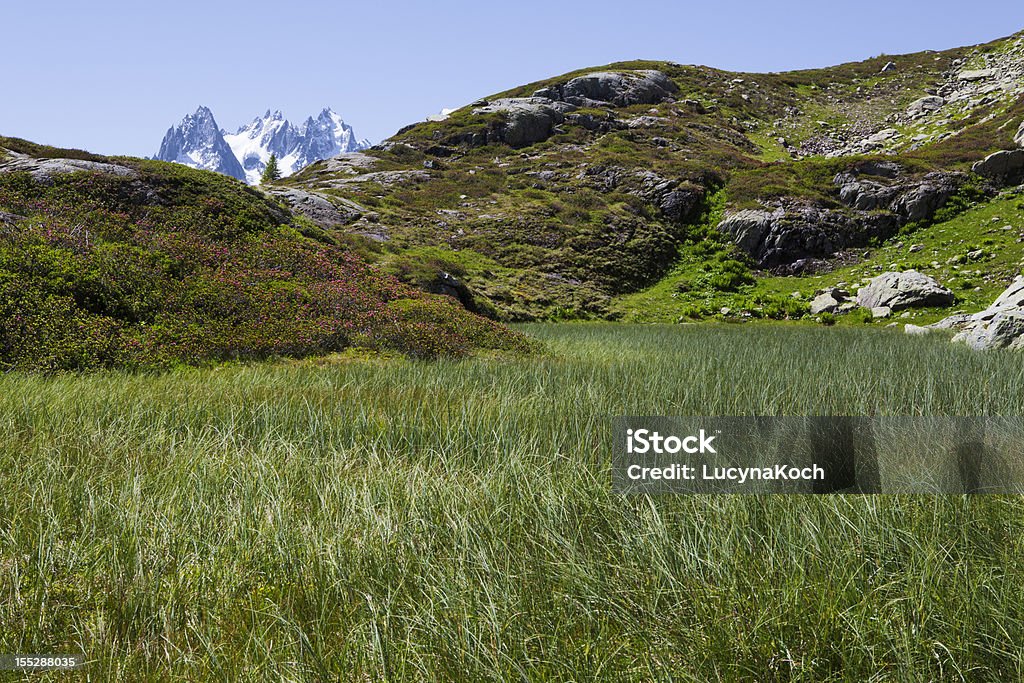 Moor Landschaft - Lizenzfrei Alpen Stock-Foto