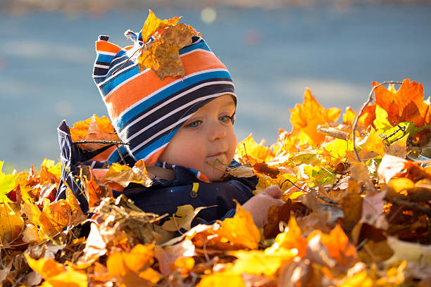 istock small child sits in yellow autumn leaves 155288336