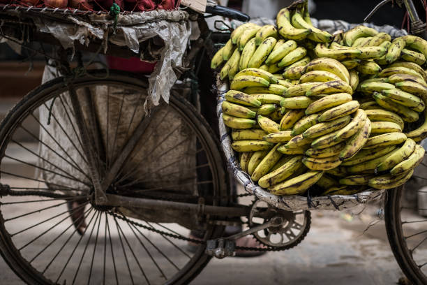 istock bananas on a bike on a street 1552889132