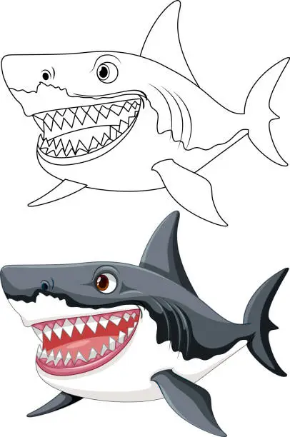 Vector illustration of A cartoon illustration of a great white shark with big teeth smiling and swimming