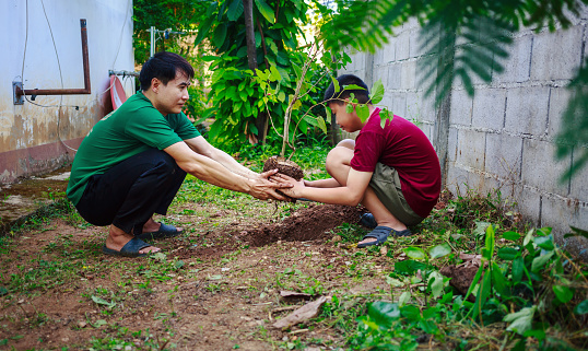 Asian boy Helping father plant a tree in the garden at home on holiday. Family activity at home.