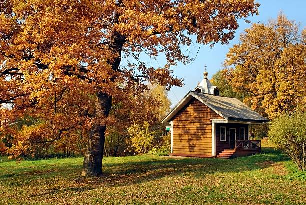istock Autumn landscape with a small house 155293857