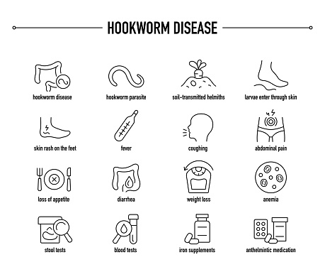 Hookworm Disease icon set. Line editable medical icons.