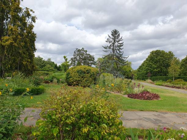 istock A garden with various coloured flowers, bushes trees under the blue sky 1552973147