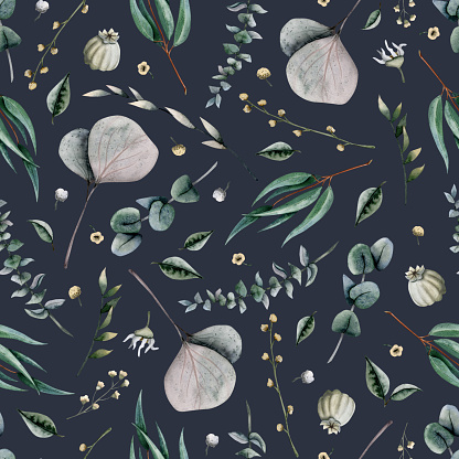 Eucalyptus branches watercolor seamless pattern with branches, leaves, grass, poppy seed boxes and tiny field flowers on dark navy blue background for botanical floral textile and fabrics