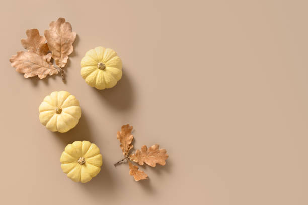 istock Pumpkins and fall oak leaves on beige background. 1553002844