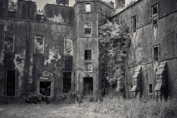 Kilmahew castle abandoned kilmahew castle in dumbarton scotland dumbarton castle stock pictures, royalty-free photos & images