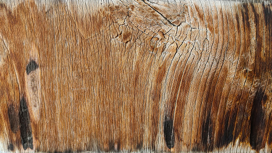 Perfect new natural red tree veneer background. High quality texture in extremely high resolution.