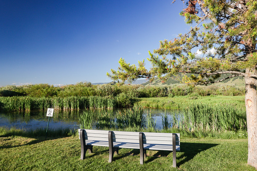 Park bench overlooking National Elk Refuge off North Cache Street at Jackson Hole, Wyoming