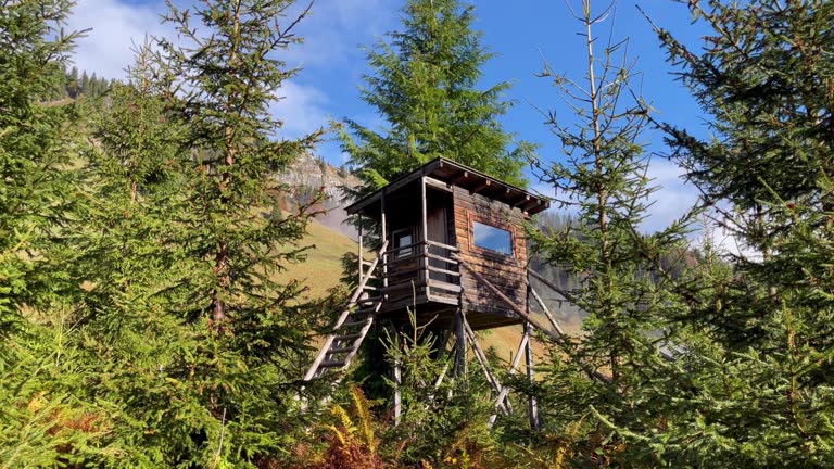 Wooden bird blind in the woods