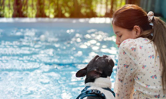 Cropped image of Girl kissing her dog pet cute adorable French bulldog friendly at the swimming pool. Closeup, funny animals, back view.