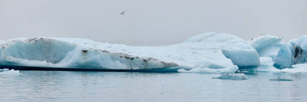 un iceberg en islandia. un iceberg que desemboca en la laguna de jokulsarlon, separado del frente del glaciar. - natural disaster glacier iceberg melting fotografías e imágenes de stock