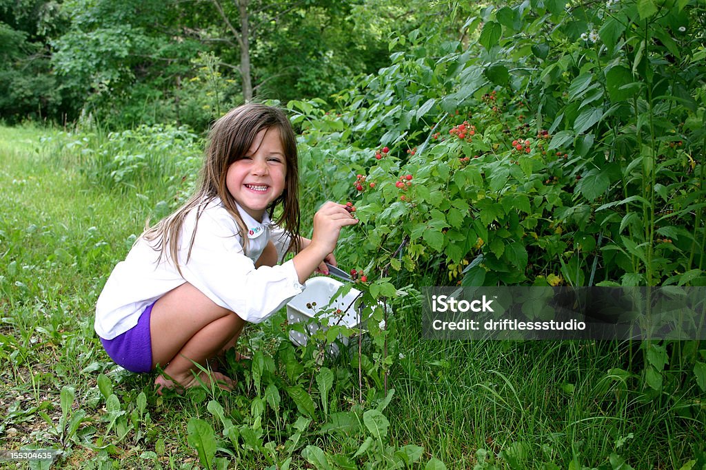 Brunette fille cueillir des fruits rouges - Photo de Cueillir libre de droits