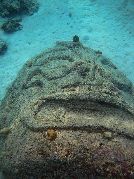 istock tiki underwater in Tahiti 155304698