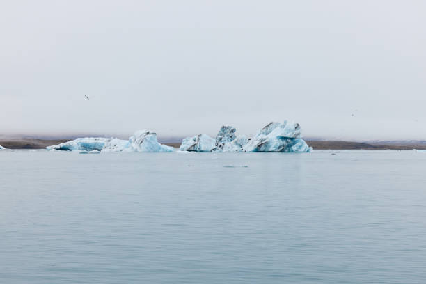 un iceberg en islandia. un iceberg que desemboca en la laguna de jokulsarlon, separado del frente del glaciar. - natural disaster glacier iceberg melting fotografías e imágenes de stock