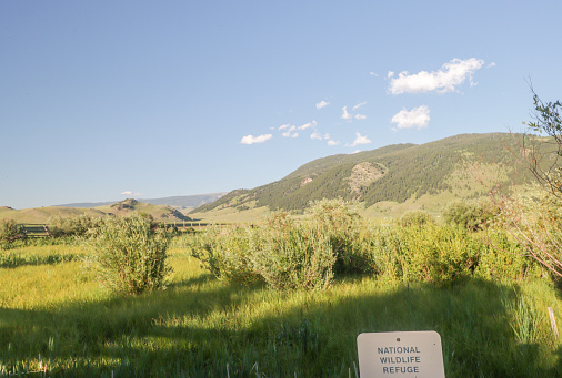 National Wildlife Refuge at Jackson (Jackson Hole) in Teton County, Wyoming