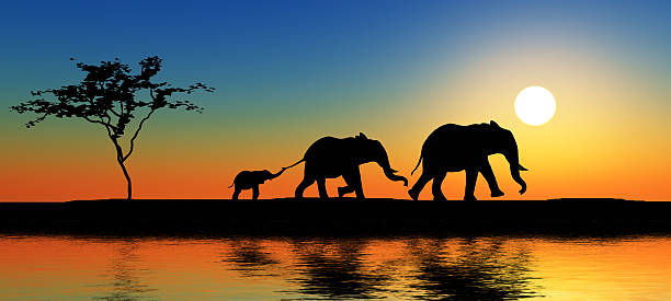 Black elephant silhouettes by a river.