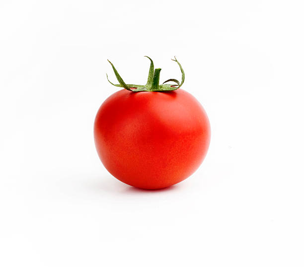 Tomato stock photo