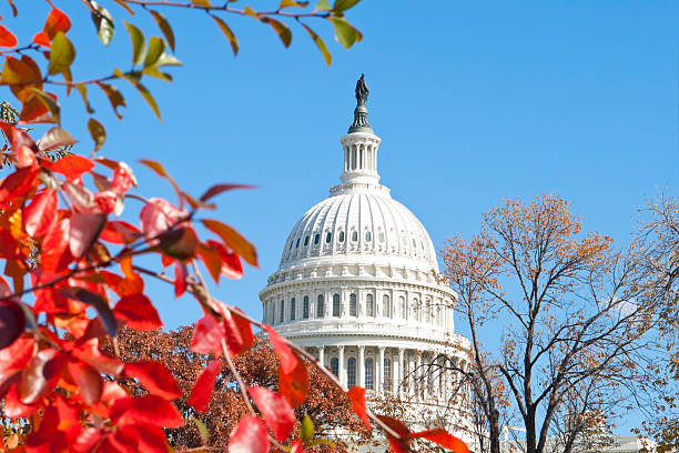 istock The US Capitol in Washington, DC, in autumn time 155307167