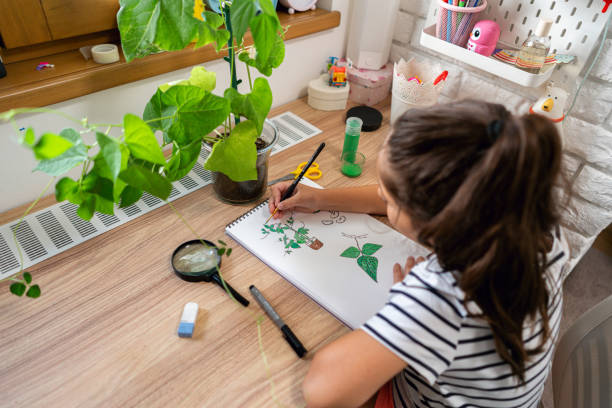 istock High angle view of Caucasian girl, educate through creative way about botany 1553073056