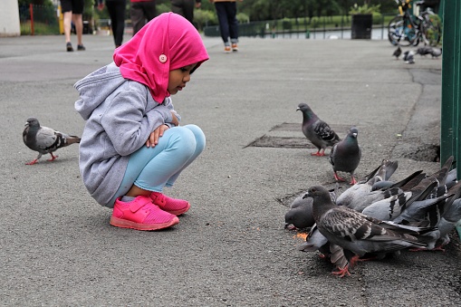 Little girl looking at pigeons