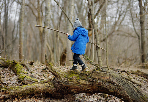 Little boy hiking in the forest on a early spring. Kid playing and having fun in spring or autumn day. Outdoors games for children.