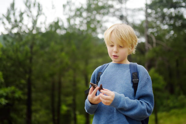istock School child with backpack is hiking and exploring nature in the forest. Little boy is traveling in the woodland. Child examines a pine cone. Summer camp vacation for inquisitive kids. 1553080274