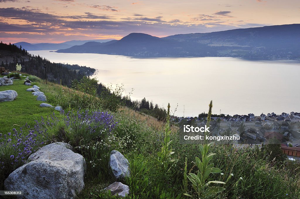 Lago Okanagan na manhã nublada - Foto de stock de Arbusto royalty-free