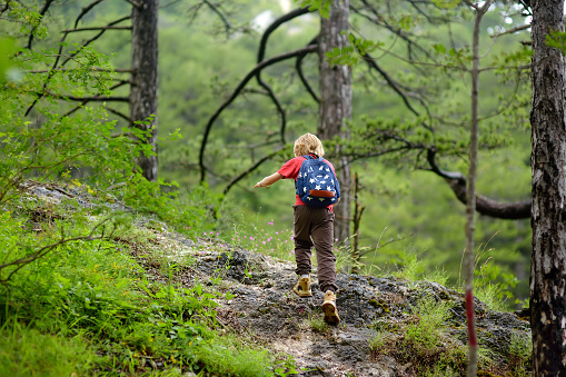 School child is hiking and exploring nature in forest. Preteen boy travel in woodland. Summer vacation activity for inquisitive kids in parkland. Adventure, tourism, scouting, orienteering for kids