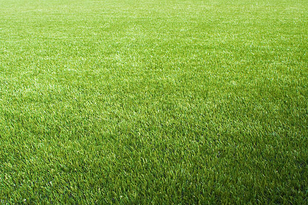istock Artificial lawn on the foolball/soccer field 155310593