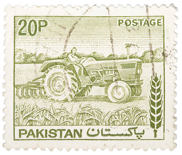 istock Pakistan 20p Postage Stamp 155310618