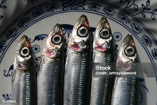 Photo libre de droit de Des Sardines banque d'images et plus d'images libres de droit de Horizontal - Horizontal, Huile de foie de morue, Huile de poisson