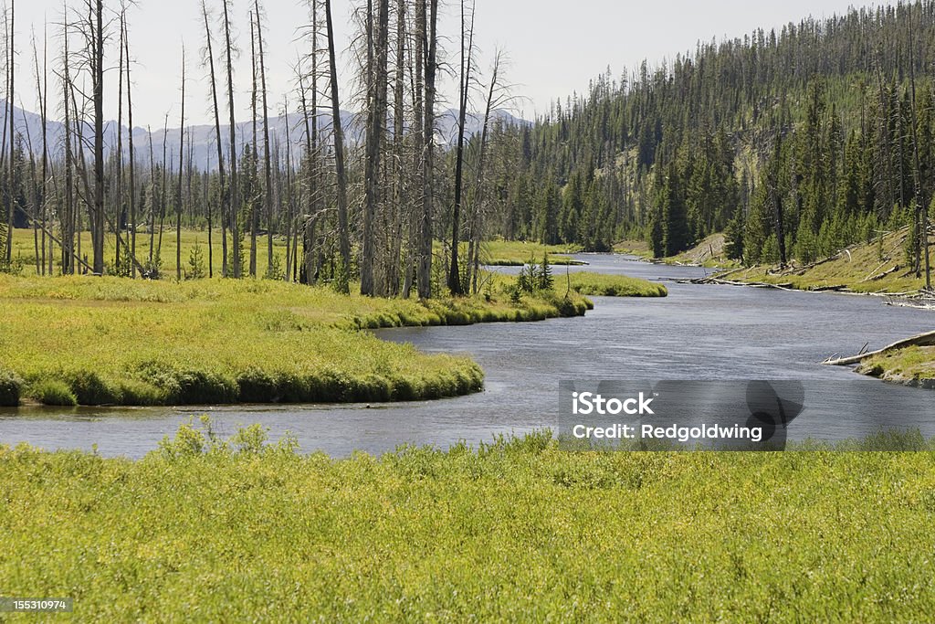 Rzeka Snake w Parku Narodowym Teton - Zbiór zdjęć royalty-free (Ameryka Północna)