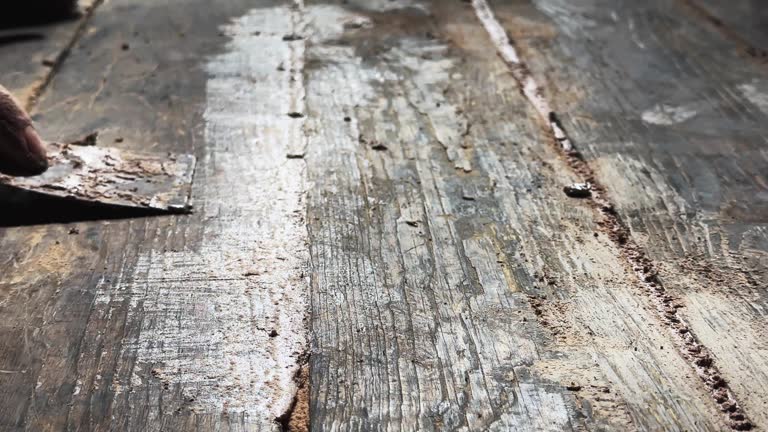 Applying glue with a spatula to the wooden floor gaps on the floor Video