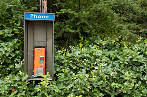 the forgotten phone booth deep in the woods
