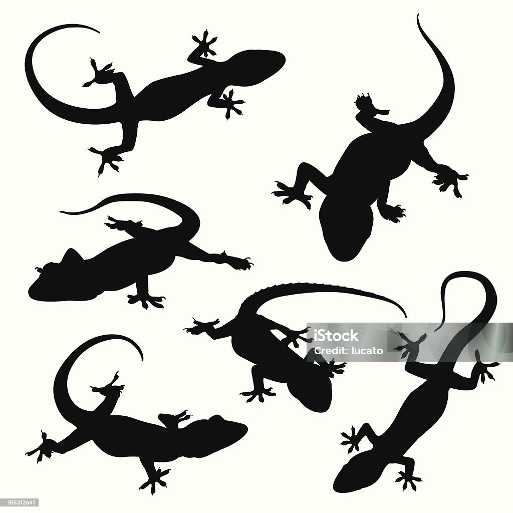 Gecko silhouettes See my vector illustrations serie by clicking on the image below: Lizard stock vector