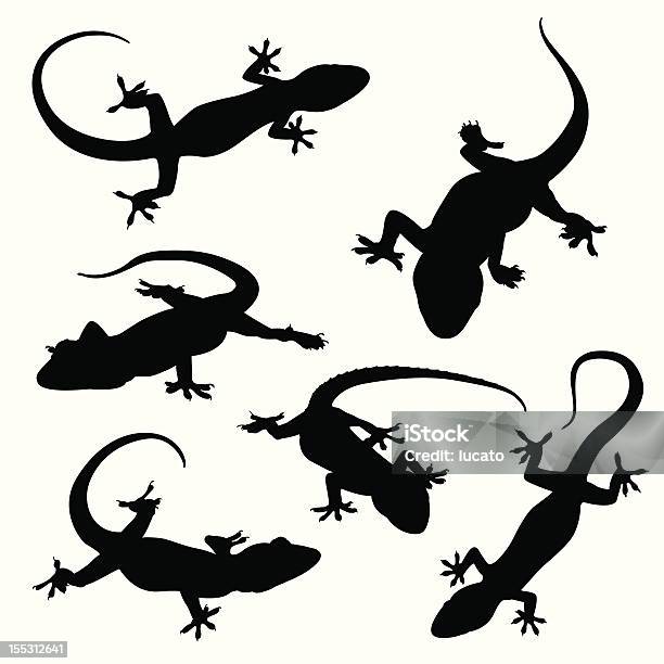 Gecko Silhouettes Stock Illustration - Download Image Now - Lizard, In Silhouette, Vector