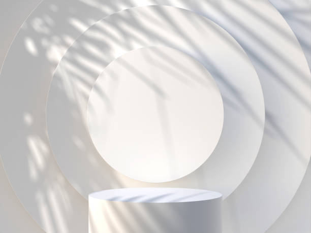 istock White podium with shadows from the palm leaves on the wall. 3d render. 1553127640