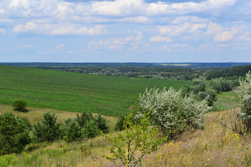 view of Ukrainian fields