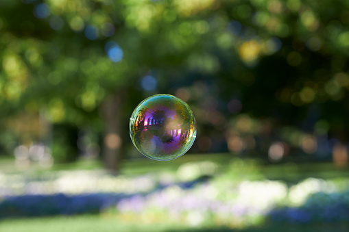 a bubble moving around green plants at the public park