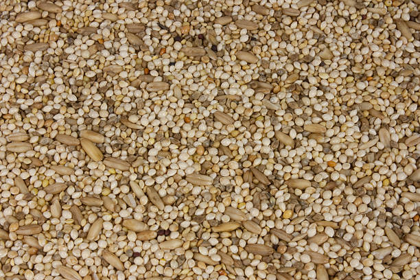 Bird Seed Mix stock photo