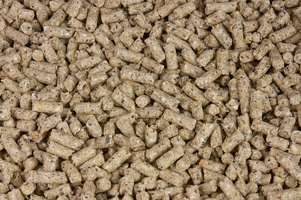 Strato di pollo pellet - foto stock