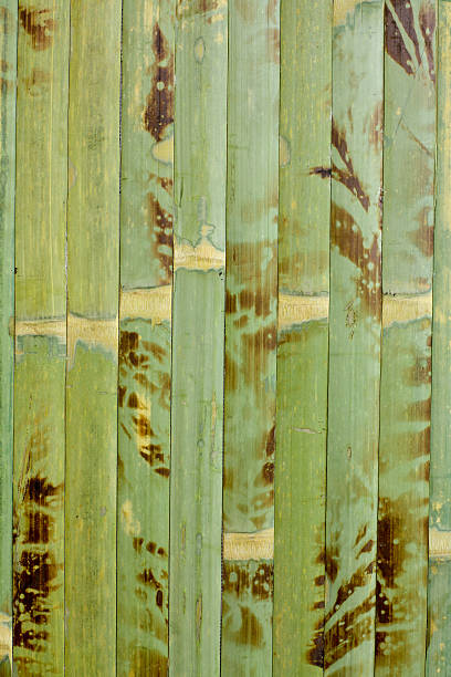 Struttura di legno bambù - foto stock