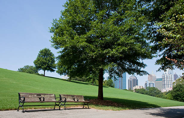istock Benches and Walkway Through City Park 155314927