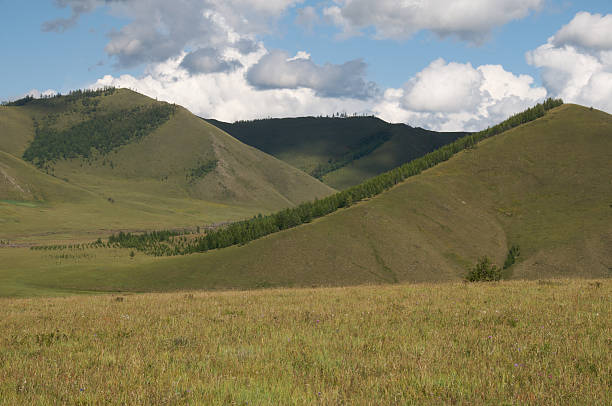 Jalman Meadows, Mongolia stock photo